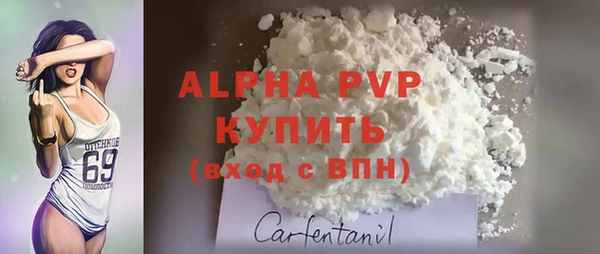 мяу мяу мука Михайлов