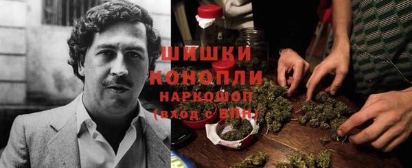 дмт Михайловск