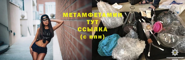 мяу мяу мука Михайлов