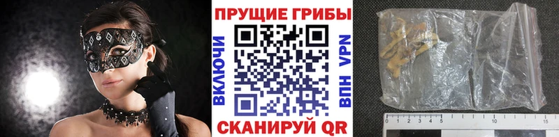 ссылка на мегу ссылка Шагонар Галлюциногенные грибы MAGIC MUSHROOMS